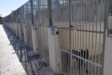 Más de tres millones de euros para construir una perrera con 16 cheniles