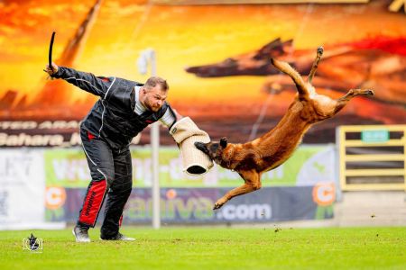 Íñigo Sierra: “Defender que un perro en el sofá es más feliz que al entrenar es maltrato" 