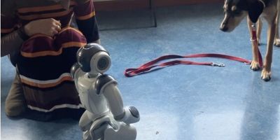 NAO, el robot que reconoce las emociones y posturas de las mascotas NAO, el robot que reconoce las emociones y posturas de las mascotas