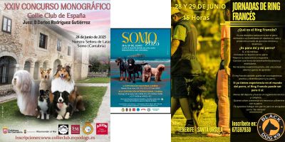 Calendario junio 2025  
