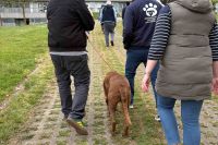 Fundación Jove y Candamín, binomio en TAA