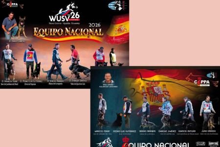 Es hora de que el Ceppa acabe con sus egos y apoye al equipo nacional