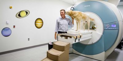 Gregory Berns, el doctor que realizó la primera resonancia magnética del cerebro de un perro