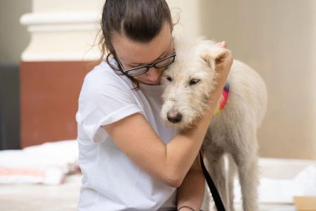 ¿Debe el mundo laboral ser empático con la muerte de nuestras mascotas? 