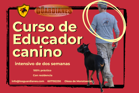 Cursos, actividades... septiembre2025