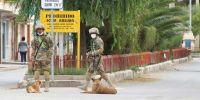 Los militares bolivianos llevan a sus perros para hacer cumplir el confinamiento