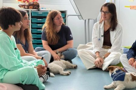 Terapia canina para niños y adolescentes