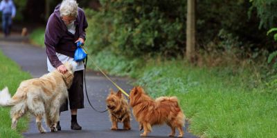 Residencias geriátricas ¿“pet friendly” o imperativo legal? Residencias geriátricas ¿“pet friendly” o imperativo legal?