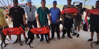Los galgos vuelan en horario de mañana Los galgos vuelan en horario de mañana