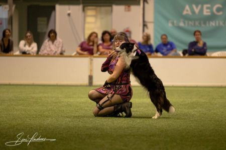 Una pareja española, al mundial de dog dancing por primera vez