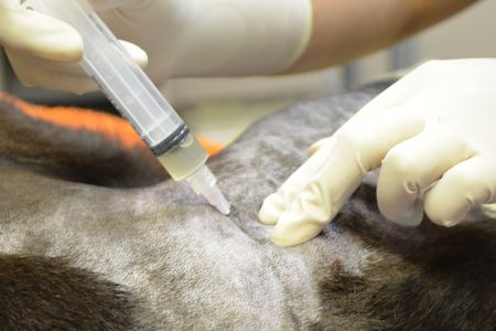 Terapia con plasma rico en plaquetas: de movilidad a oftalmología