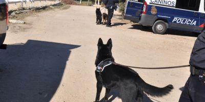 Royal Canin modifica su política de igualdad para poder vender pienso a la Policía Nacional