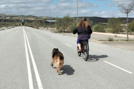 Controles equipos catástrofes; por qué adopta no compres; deporte pastor alemán...
