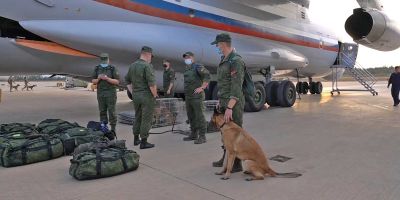 Los perros militares de cuatro países vuelven a casa tras cancelar Rusia las olimpiadas de la guerra