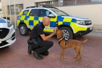 Así “estudia” un cachorro para ser agente de policía