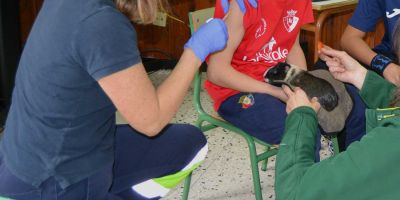 Sin miedo a las vacunas gracias a los animales