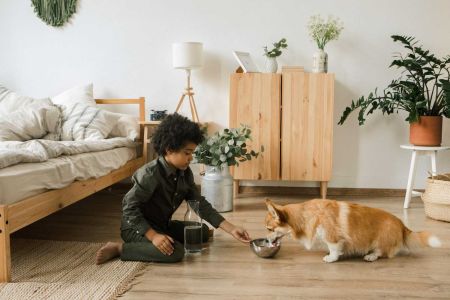 Perder peso no cambia la conducta de los perros obesos