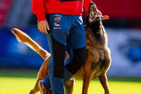 Íñigo Sierra: “Los que tienen a sus perros en el sofá son unos maltratadores” 