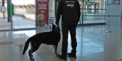 Los perros rejuvenecen a los agentes de la unidad canina de Amposta