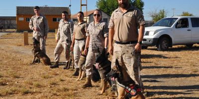 La protección del Ala 11