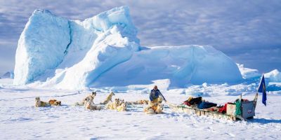 El perro groenlandés, en riesgo por el retroceso de los glaciares