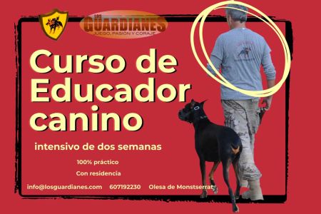 Cursos, actividades... mayo-2026  