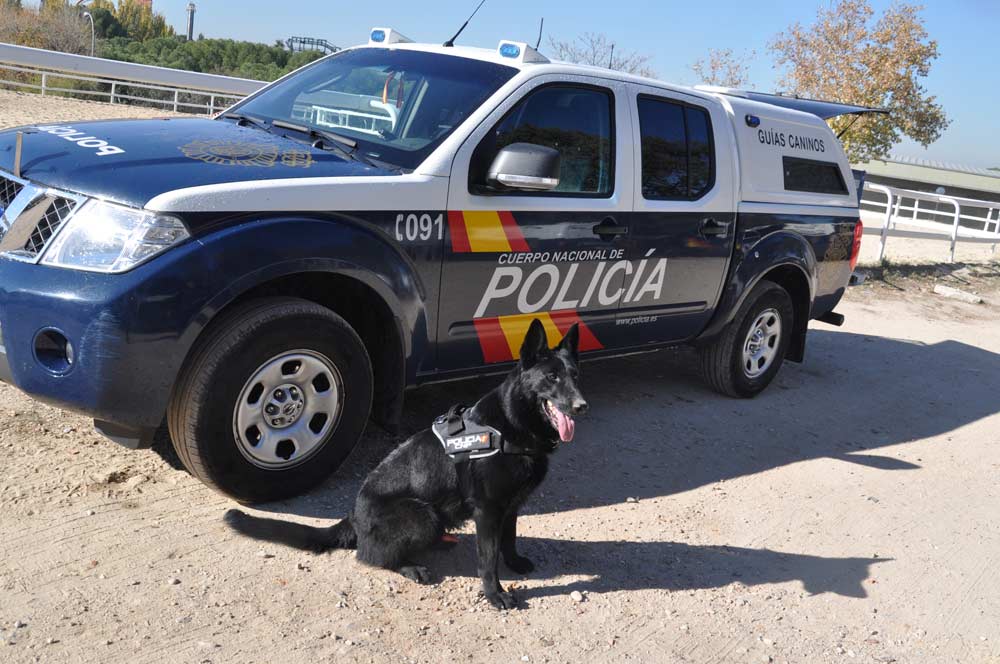 jubilacionPolicia