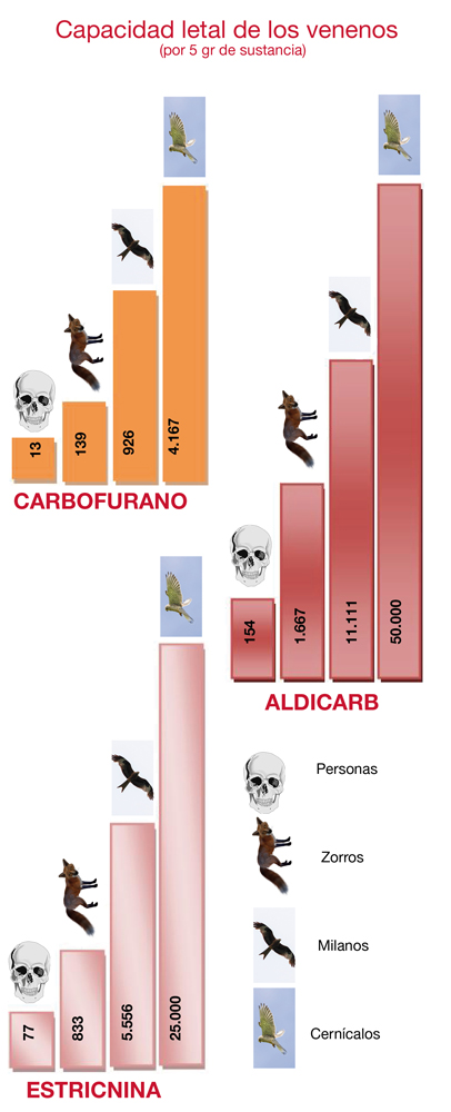 venenoGrafico