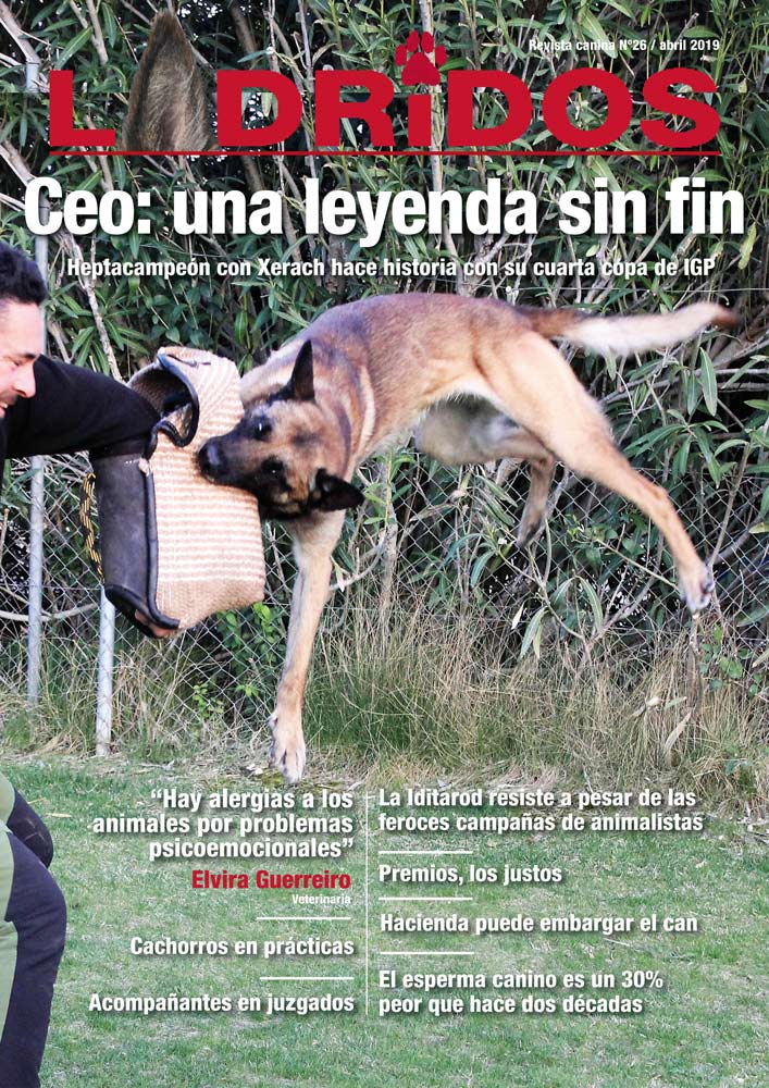 PORTADA26Abril2019