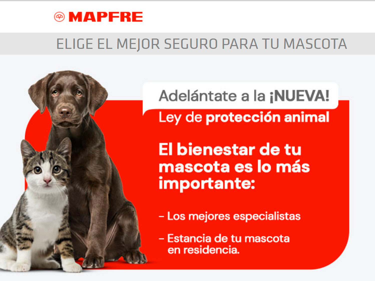 Mapfre