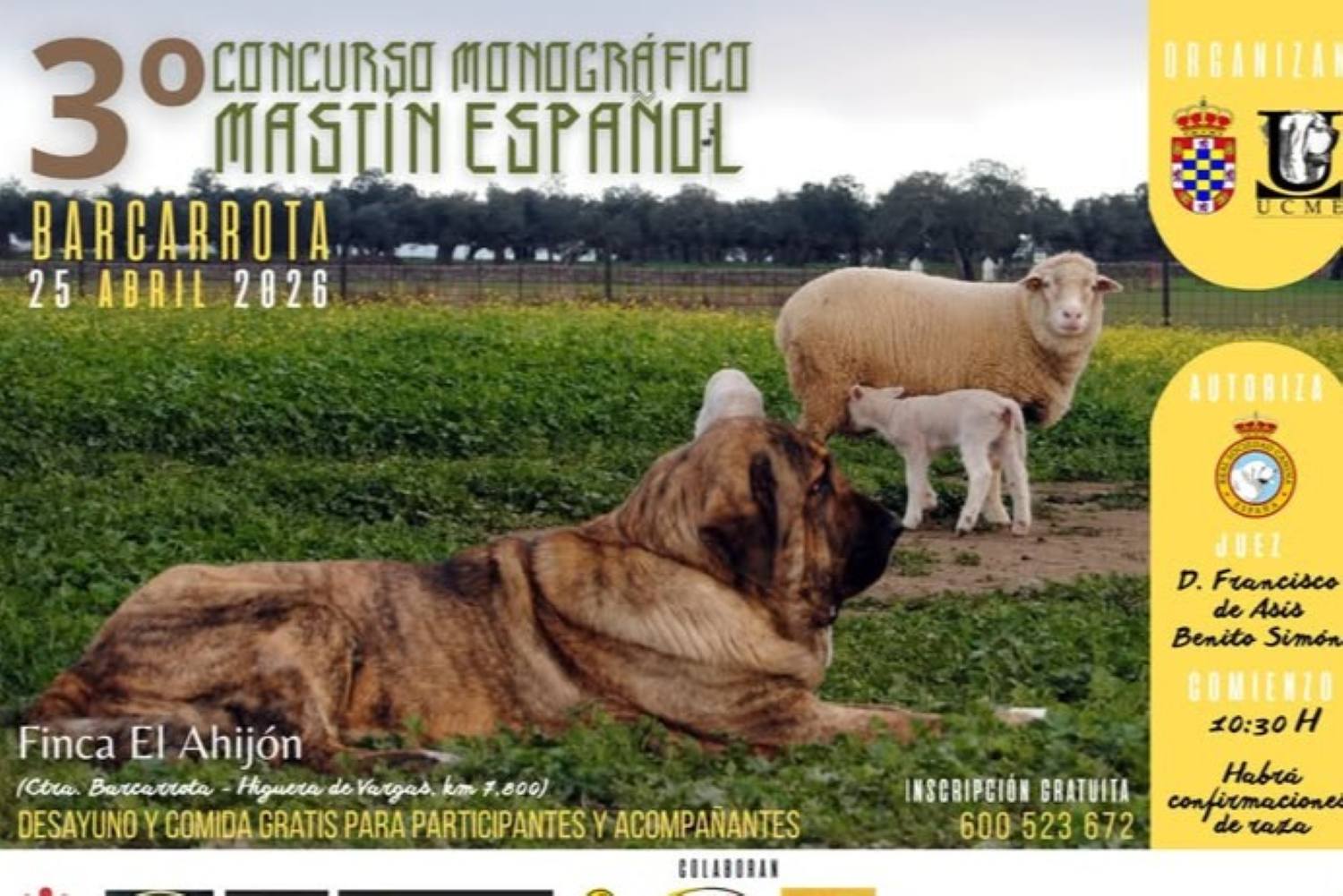 calendario1