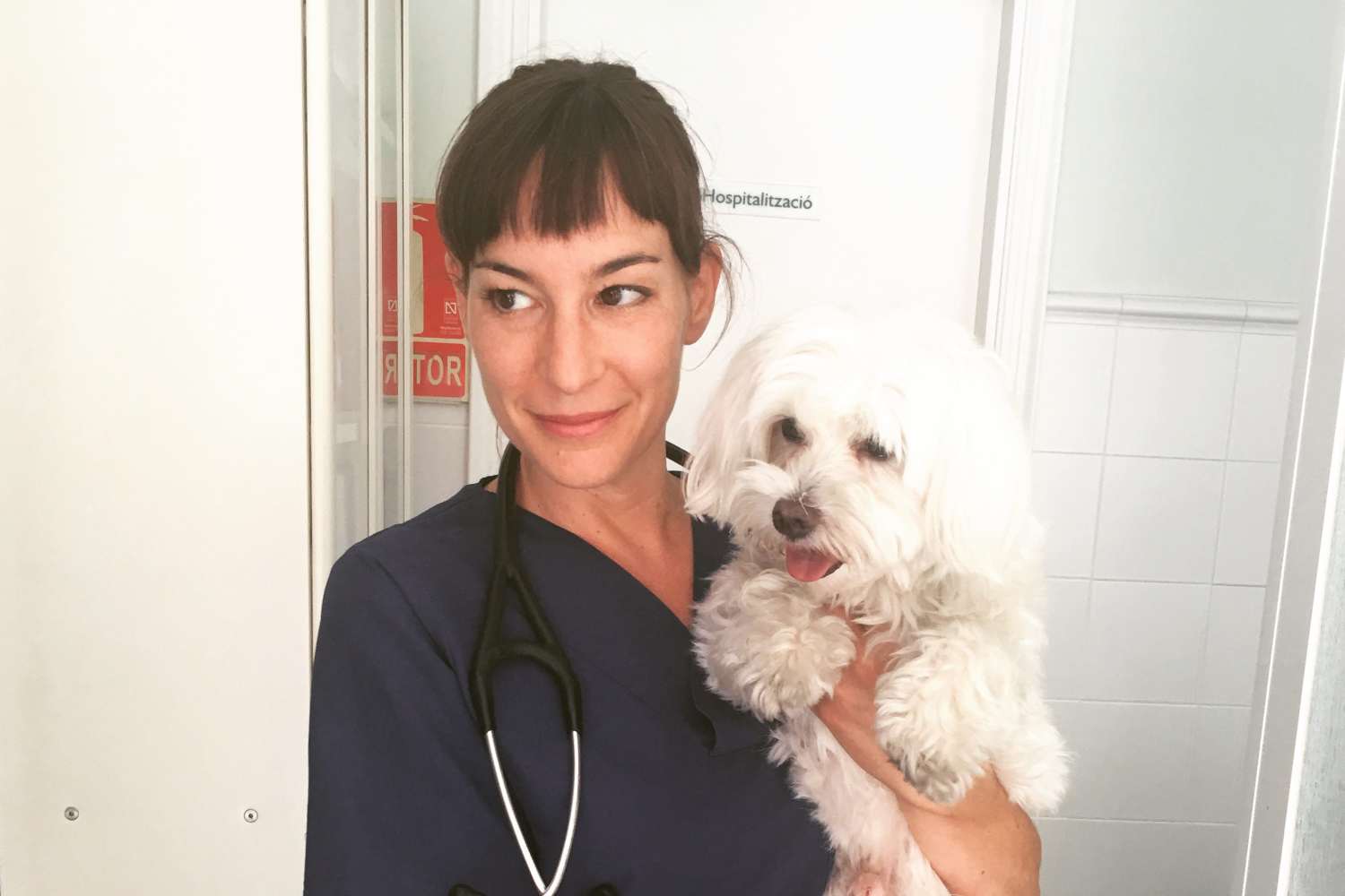 veterinaria