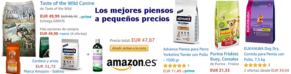 amazonPiensos