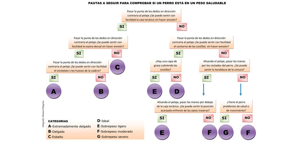 guisantes