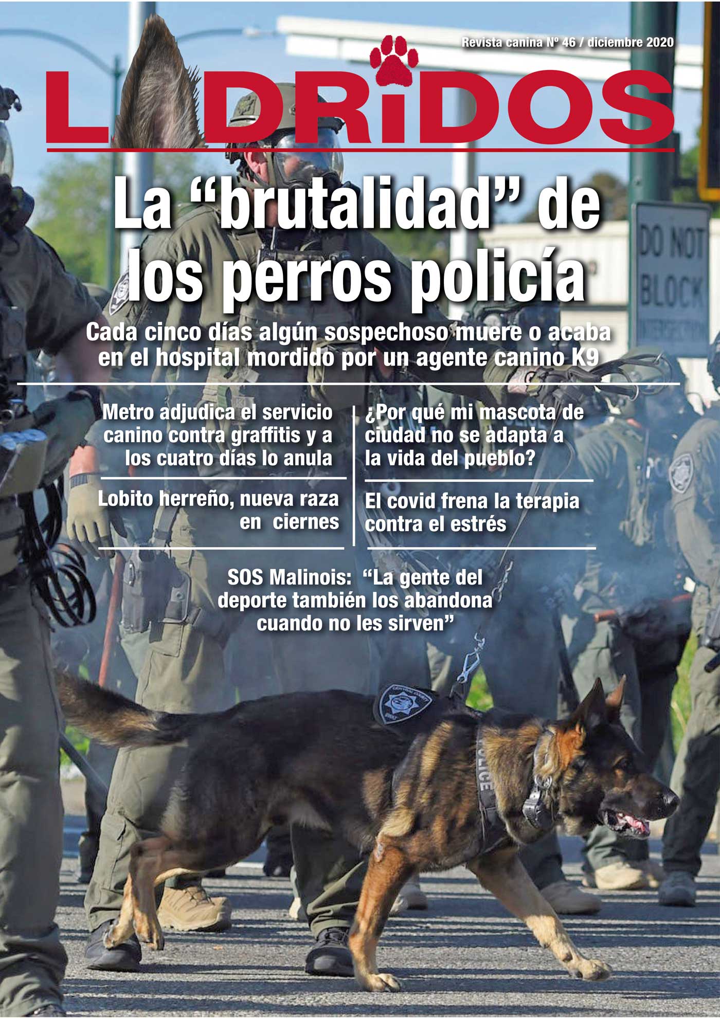 portada46Diciembre2020