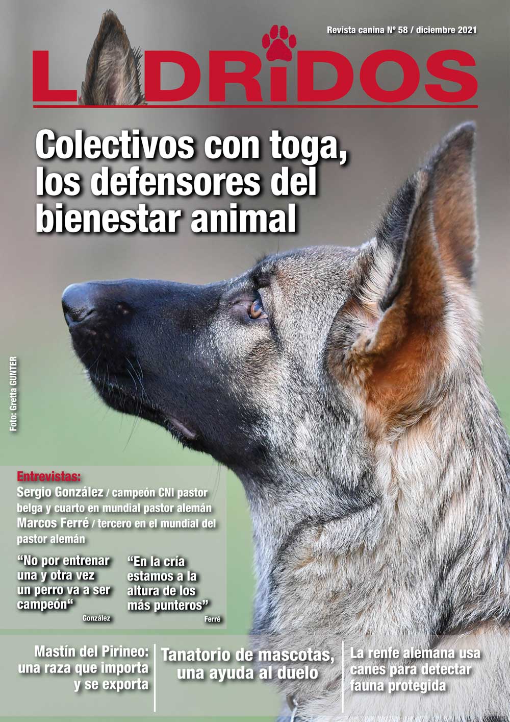 portada58Diciembre2021