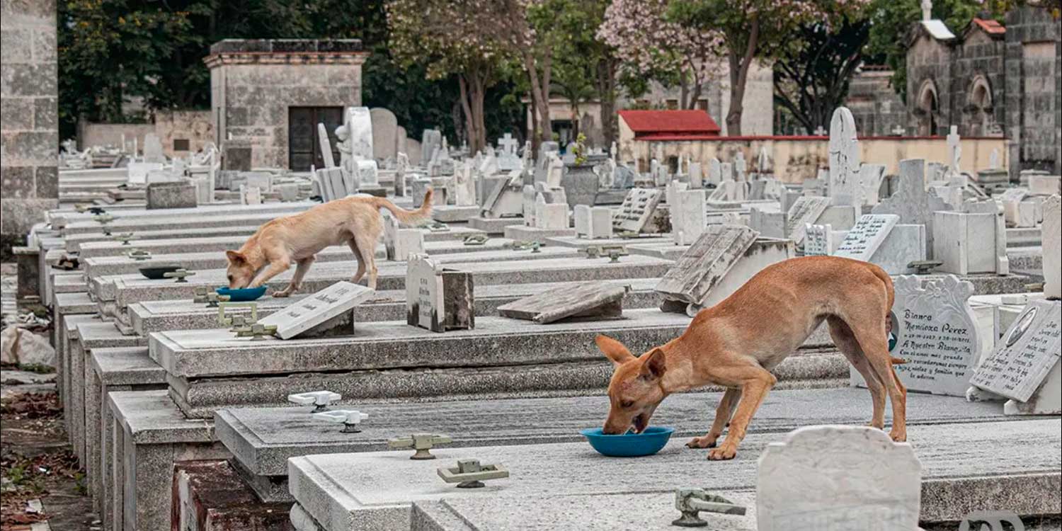 cementerio