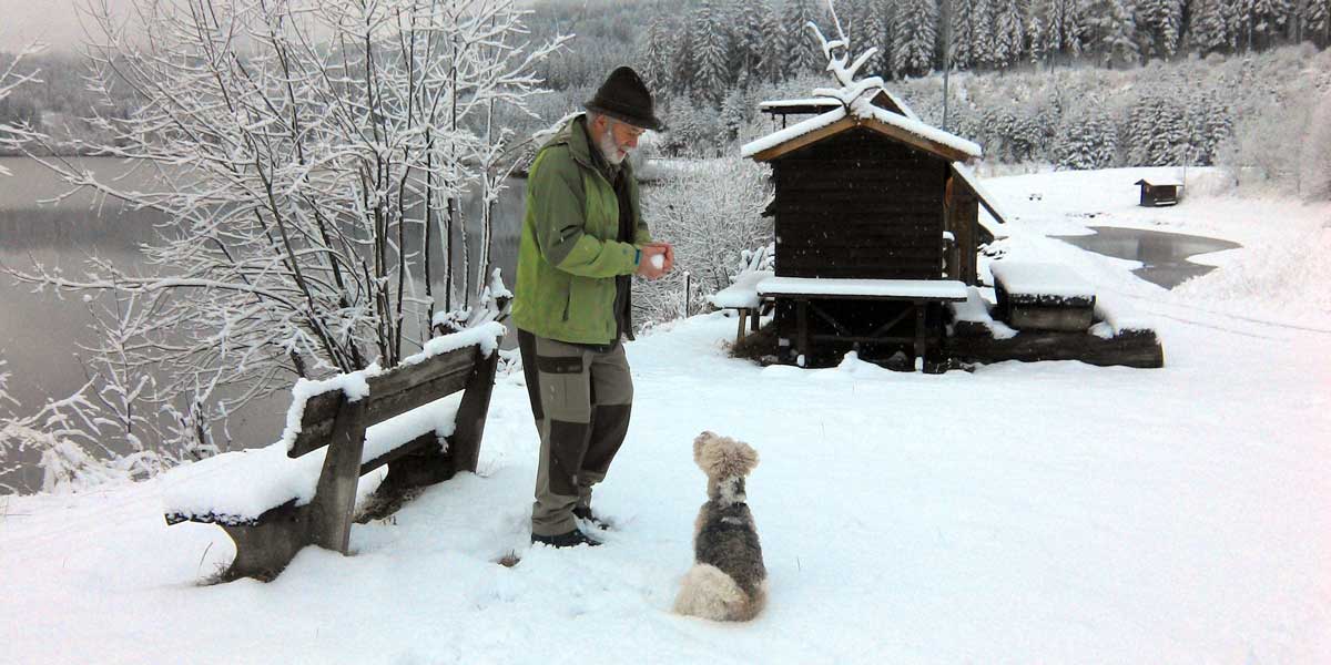 anciano y perro