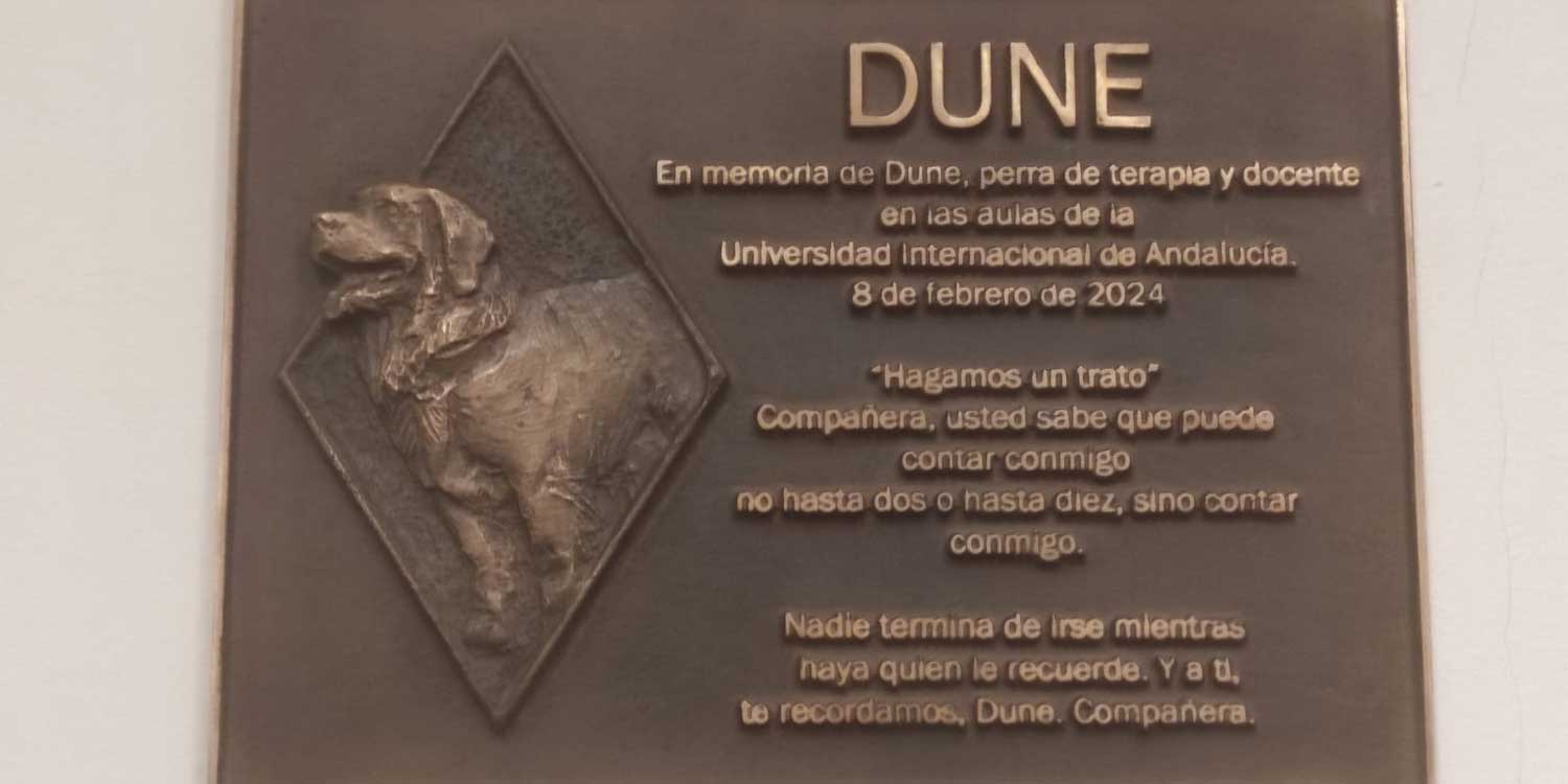 Dune