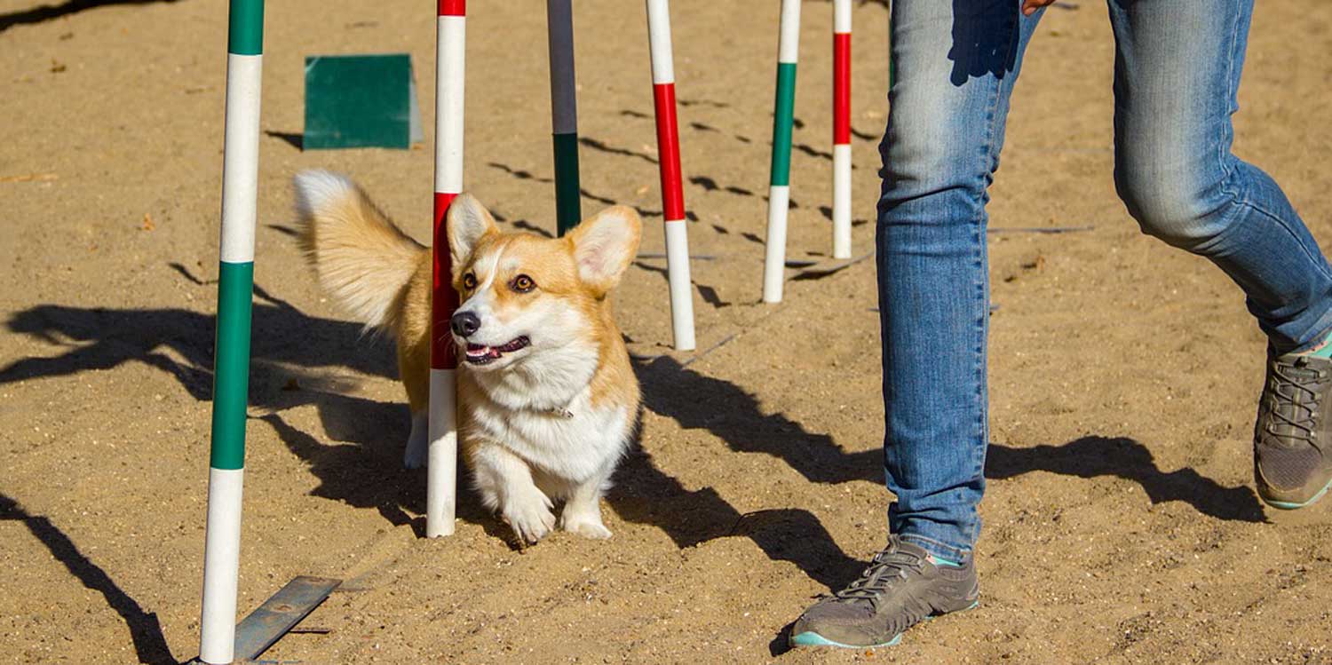 agility