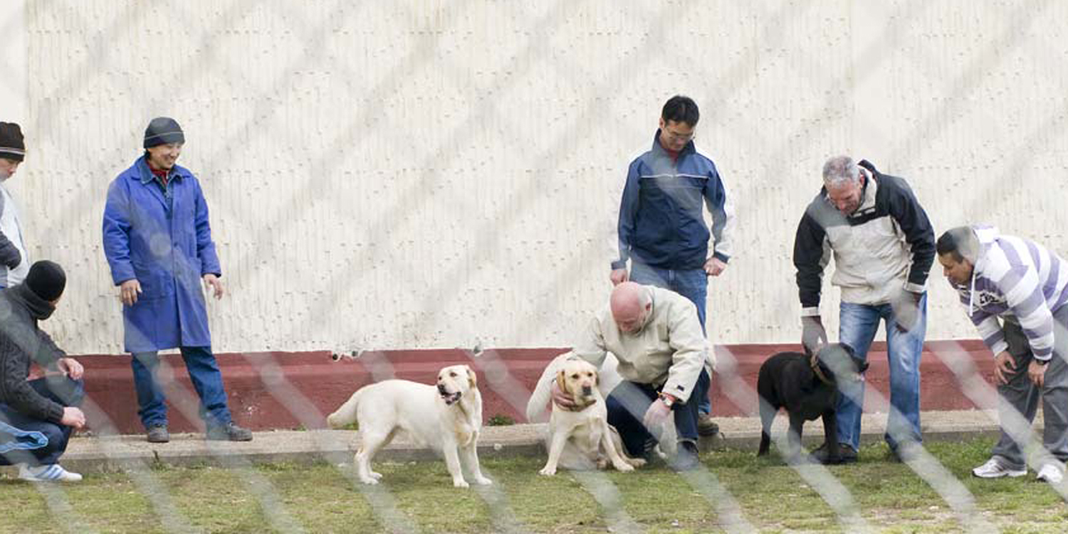 terapias con perros en centros penitenciarios