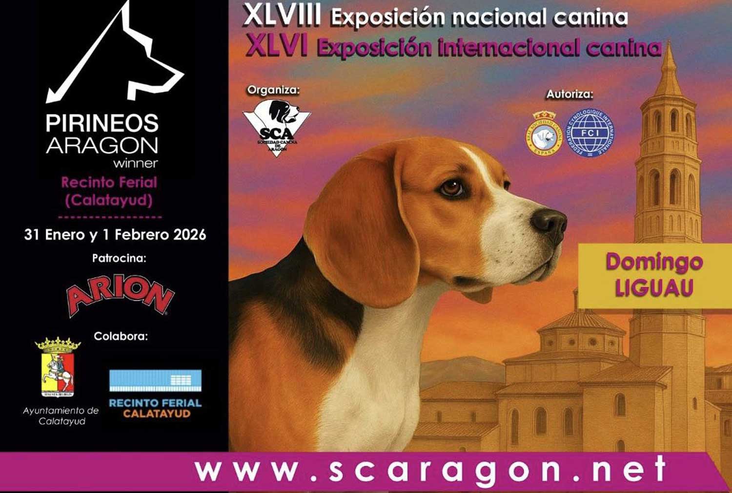 cartel17
