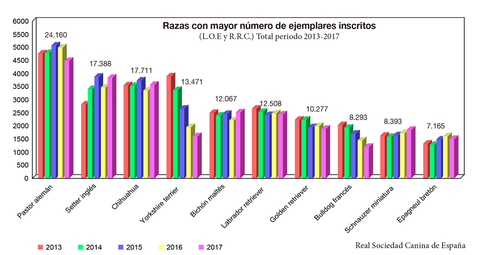 graficorazas