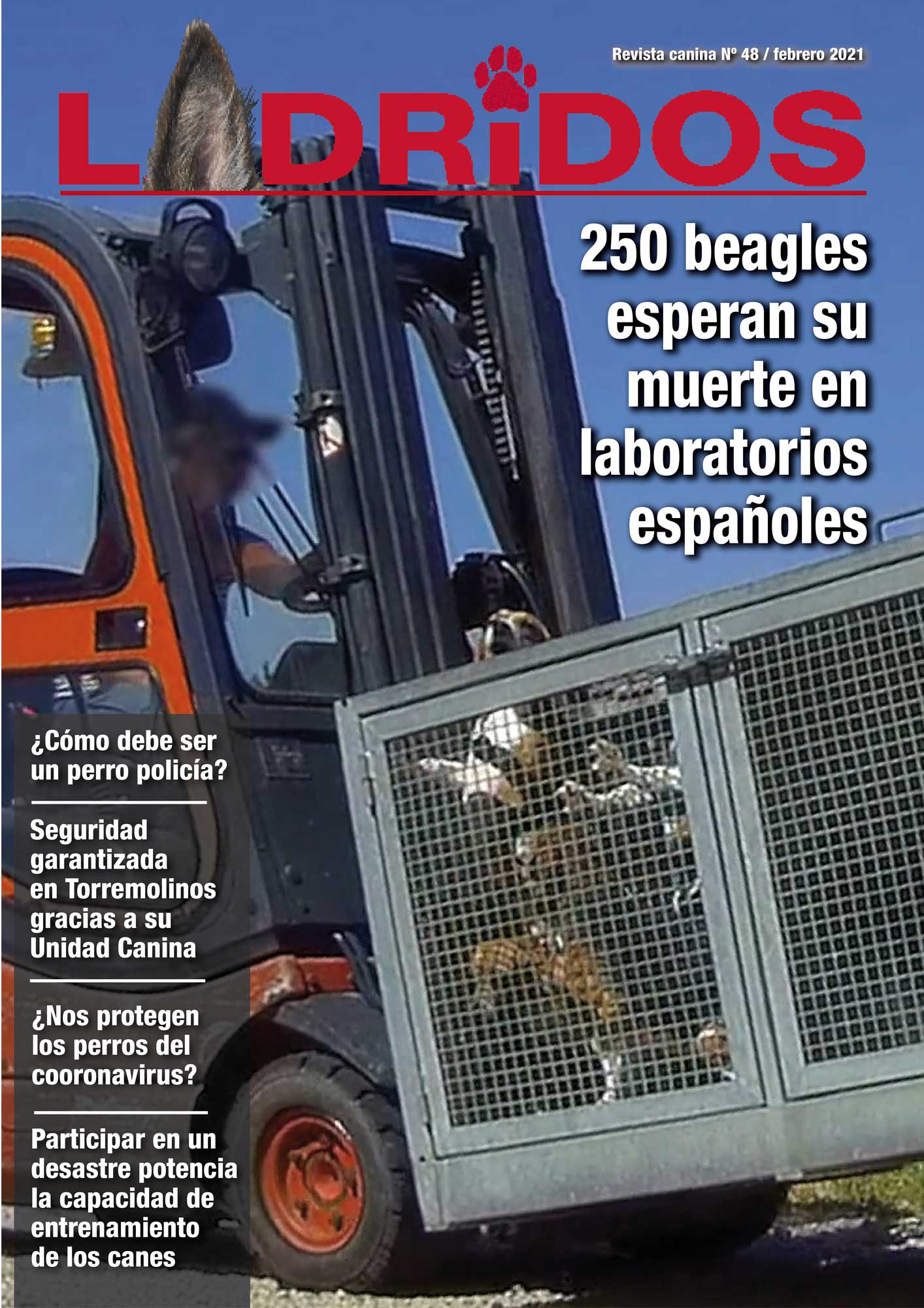 LADRIDOS48portada