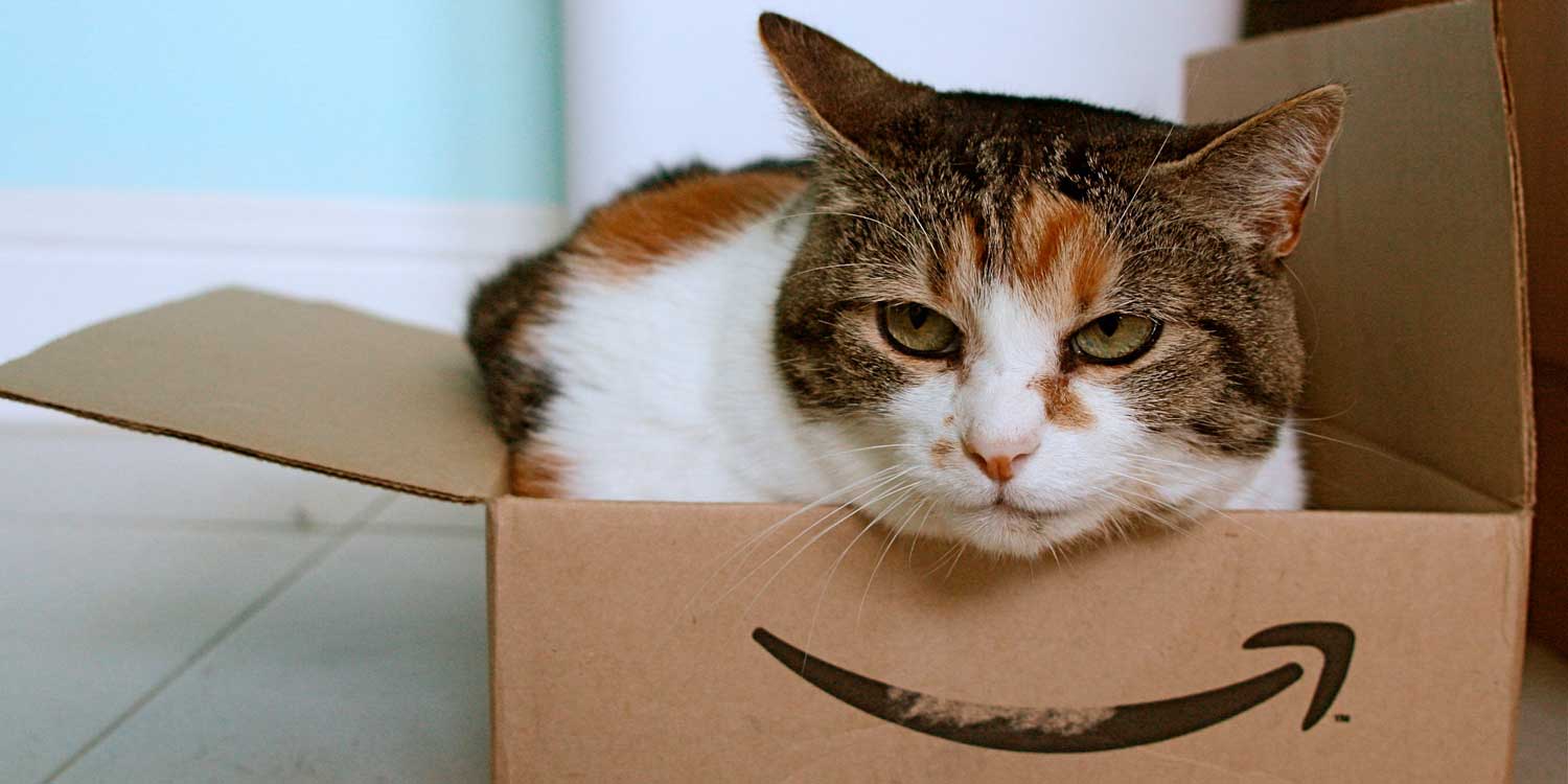 amazon box cat