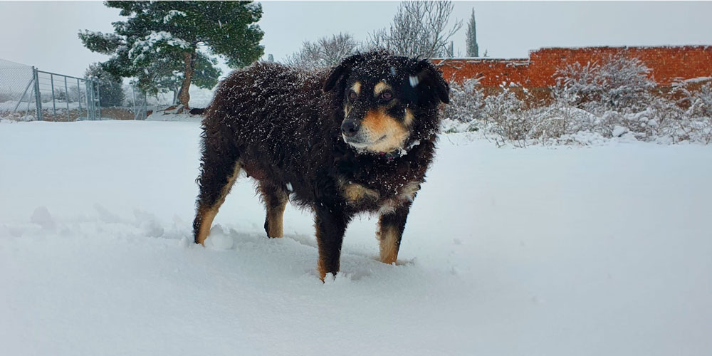 chira fuego nieve