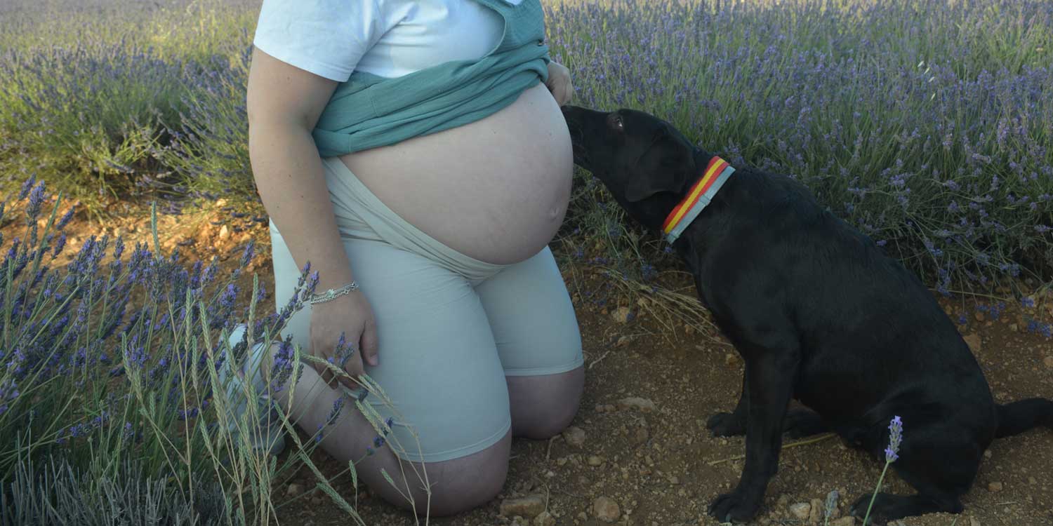 Test de embarazo sales de humanos para perros