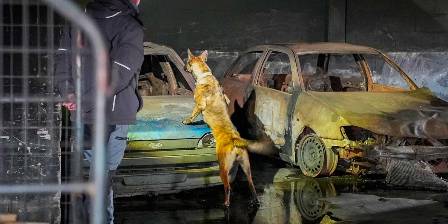 perros de la UE en Ucrania