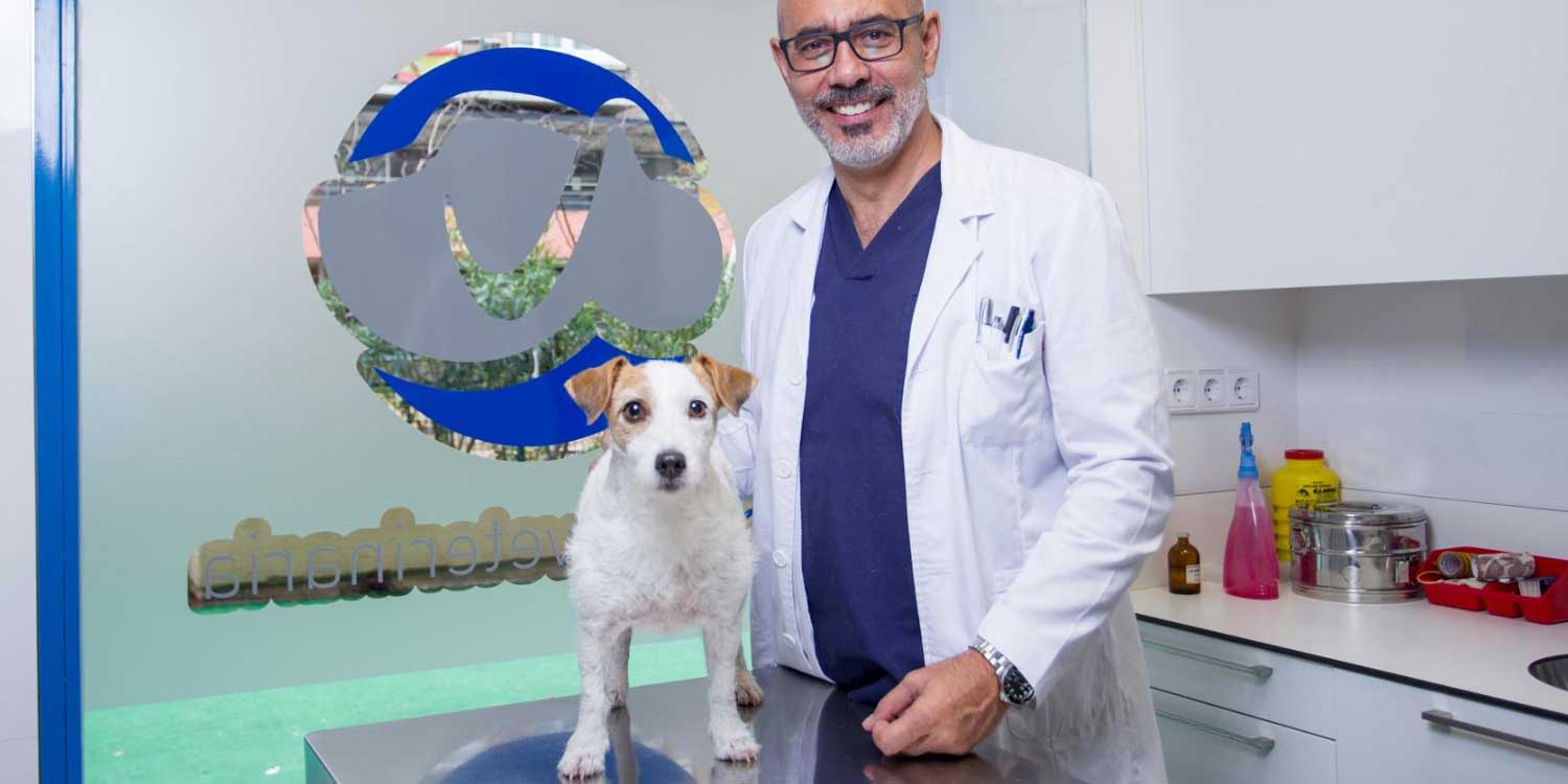 veterinarios