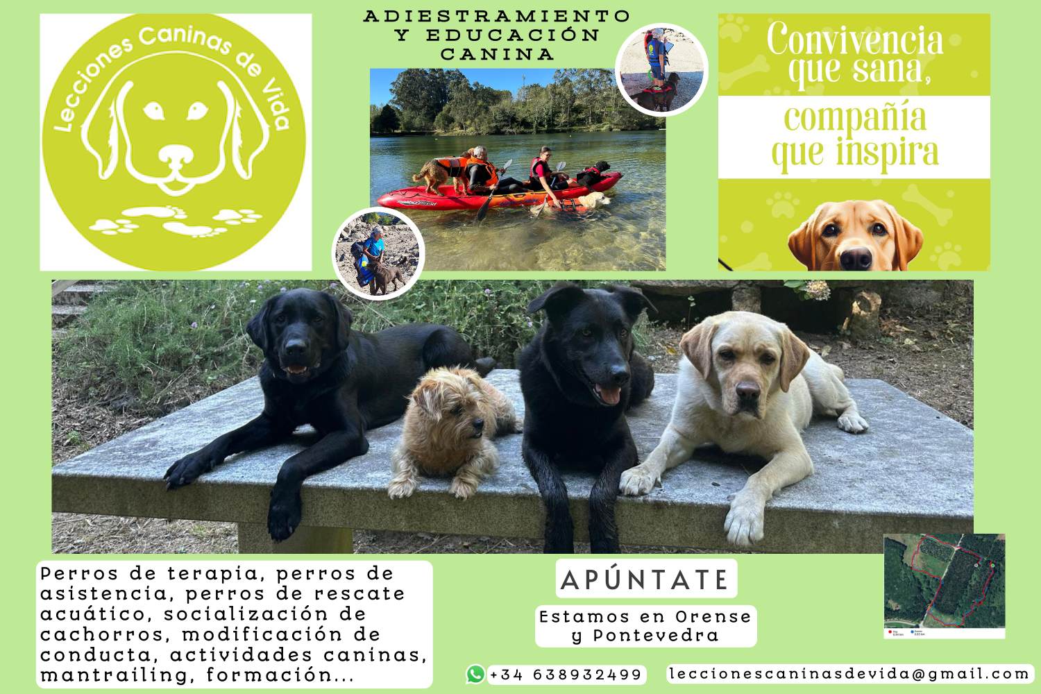cartel lecavi